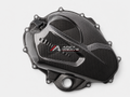 QJMotor SRK 800 RR dry carbon fiber Engine Cover