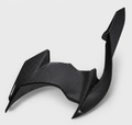 Kawasaki Ninja H2 dry carbon fiber rear hugger