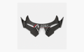Kawasaki Ninja ZX-4R / ZX-4RR dry carbon fiber Lower Winglets – product view