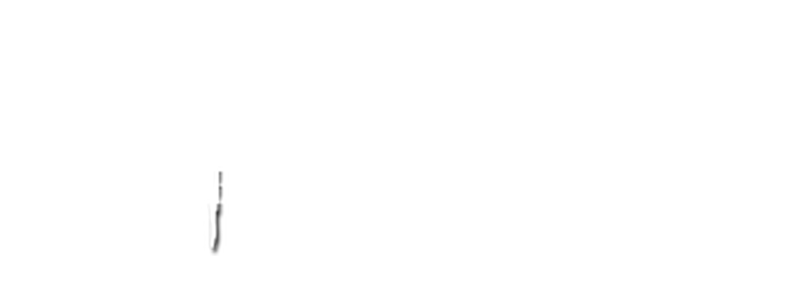 brand zontes